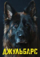  Джульбарс смотреть онлайн сериал 1 сезон 