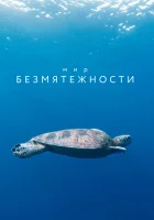  Мир безмятежности смотреть онлайн сериал 1 сезон 