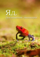  Яд. Достижение эволюции смотреть онлайн сериал 1 сезон 