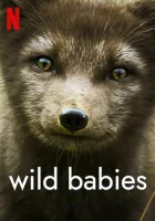  Детки не в клетке смотреть онлайн тв шоу 1 сезон 