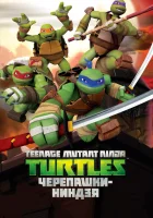  Черепашки ниндзя смотреть онлайн мультсериал 1-5 сезон 