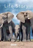  История жизни смотреть онлайн сериал 1 сезон 